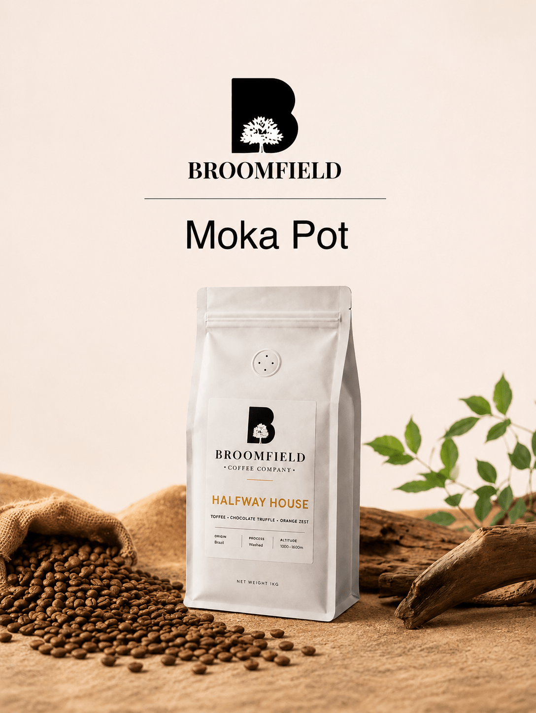 Moka Pot - Broomfield Coffee