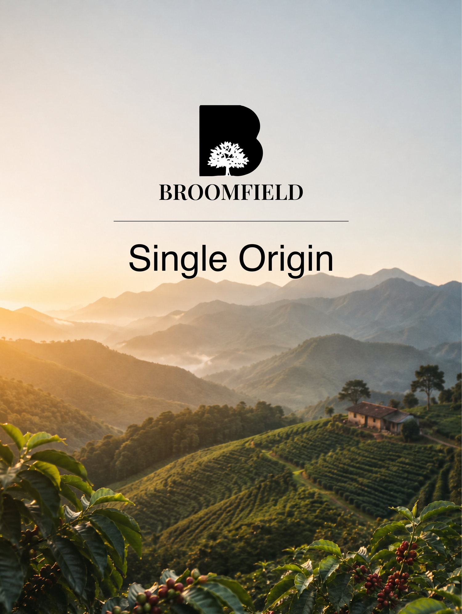 Single Origin - Broomfield Coffee
